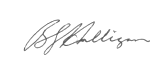 Description: bruce signature
