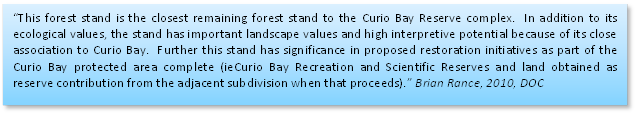 “This forest stand is the closest remaining forest stand to the Curio Bay Reserve complex.  In addition to its ecological values, the stand has important landscape values and high interpretive potential because of its close association to Curio Bay.  Further this stand has significance in proposed restoration initiatives as part of the Curio Bay protected area complete (ieCurio Bay Recreation and Scientific Reserves and land obtained as reserve contribution from the adjacent subdivision when that proceeds).” Brian Rance, 2010, DOC

