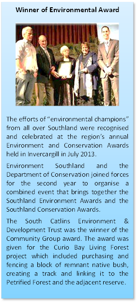 Winner of Environmental Award

 

The efforts of “environmental champions” from all over Southland were recognised and celebrated at the region’s annual Environment and Conservation Awards held in Invercargill in July 2013. 

Environment Southland and the Department of Conservation joined forces for the second year to organise a combined event that brings together the Southland Environment Awards and the Southland Conservation Awards.

The South Catlins Environment & Development Trust was the winner of the Community Group award. The award was given for the Curio Bay Living Forest project which included purchasing and fencing a block of remnant native bush, creating a track and linking it to the Petrified Forest and the adjacent reserve.

